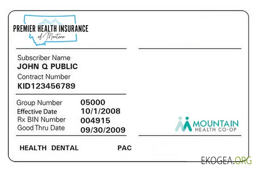 Carte d'assurance maladie du Montana